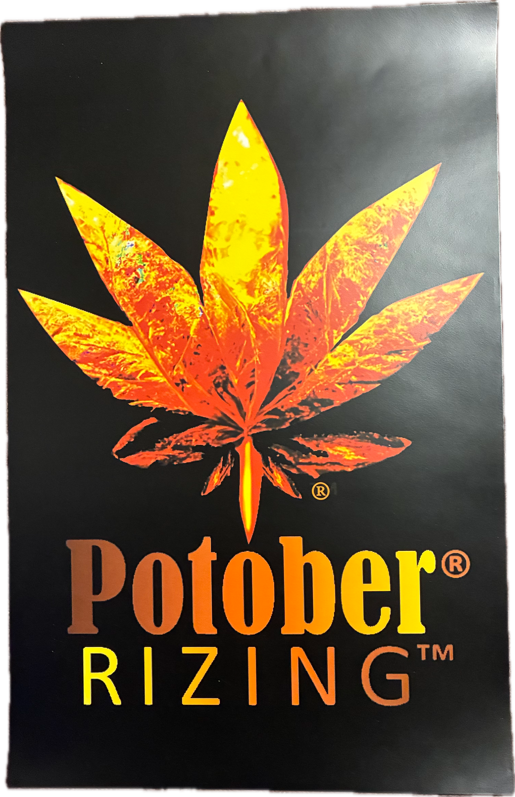 POTOBER® RIZING™ Poster